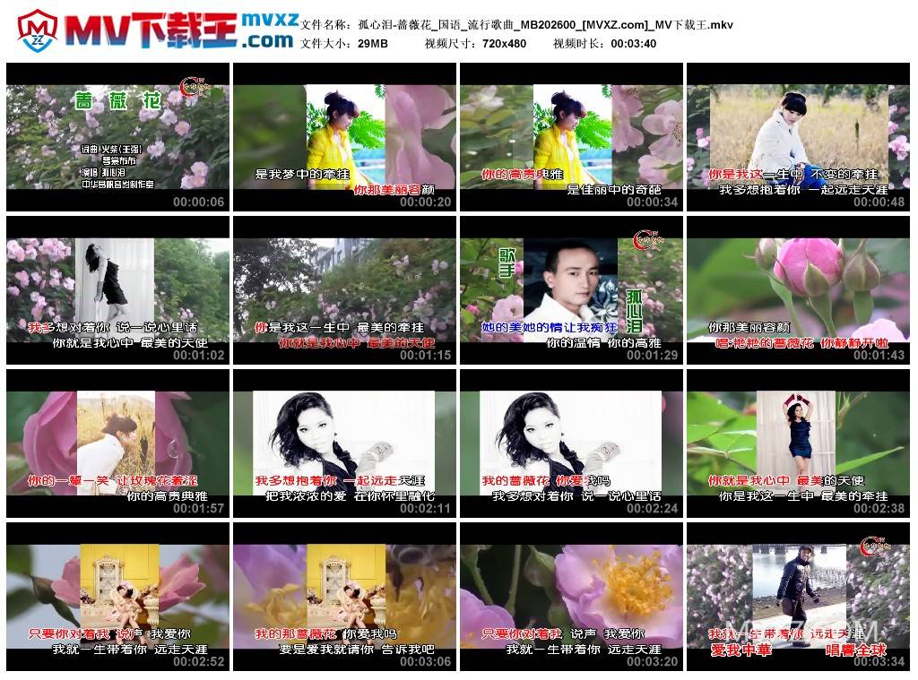 孤心泪-蔷薇花_国语_流行歌曲_MB202600